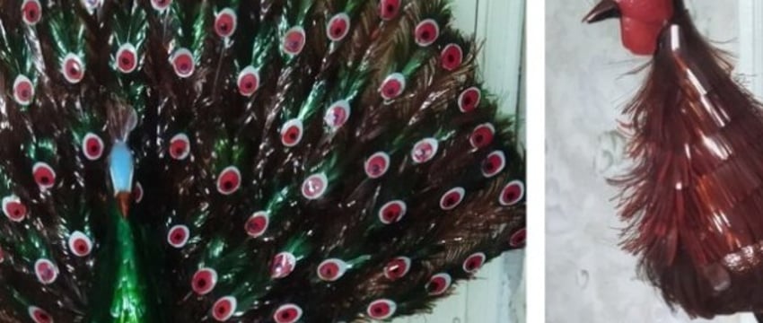 Жительница Каменецкого района дает вторую жизнь пластику, создавая красоту