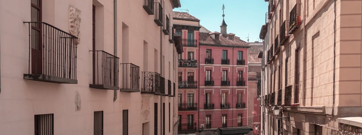 В Европе мужчина умер от геморрагической лихорадки Крым-Конго после укуса клеща. Стоит ли опасаться белорусам? — Полезно