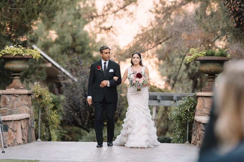 Wedding Dress · Beading / Delicate Fabrics