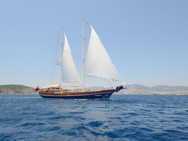 GUL 0151