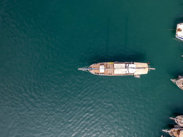 DJI 0906