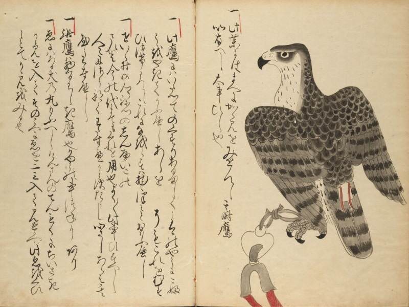 Nihon shoki