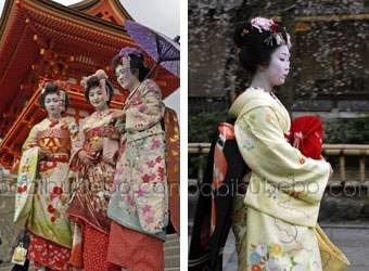 Geisha et maiko, Kyoto