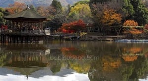 A l'intérieur de Nara Koen, Nara, Japon