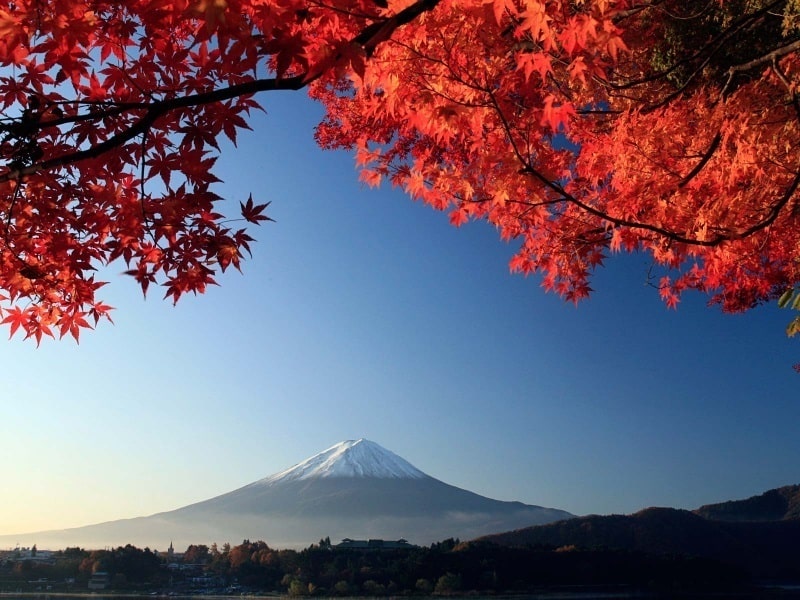 Mont Fuji automne