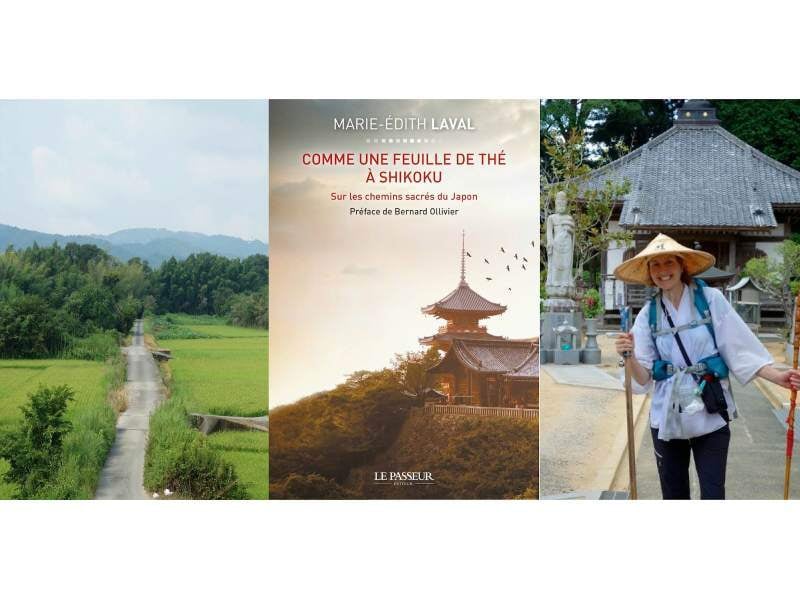 Comme une feuille de thé à Shikoku