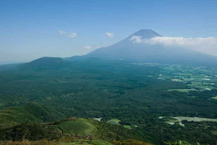 La forêt d'Aokigahara