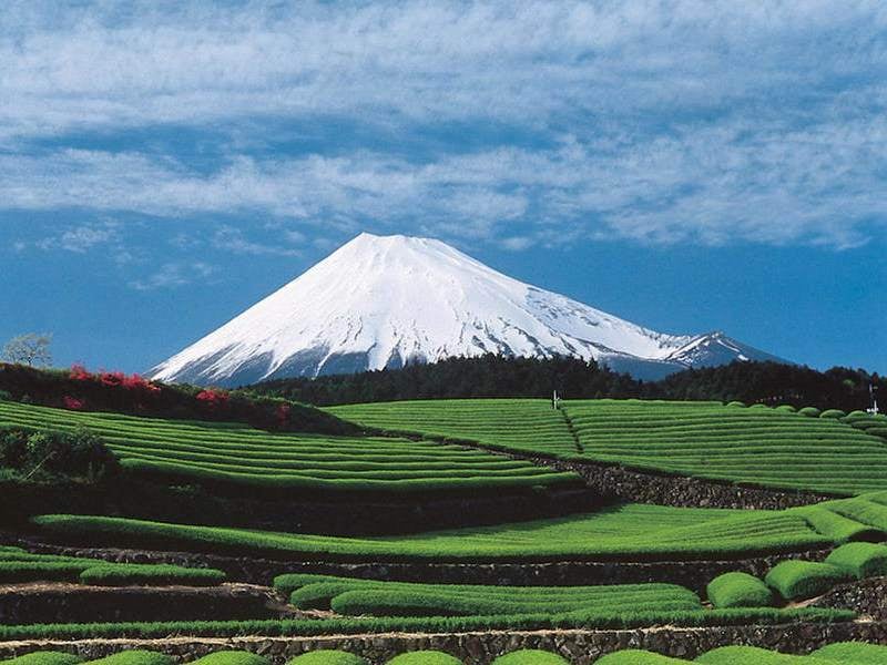 Le Mont Fuji, Japon