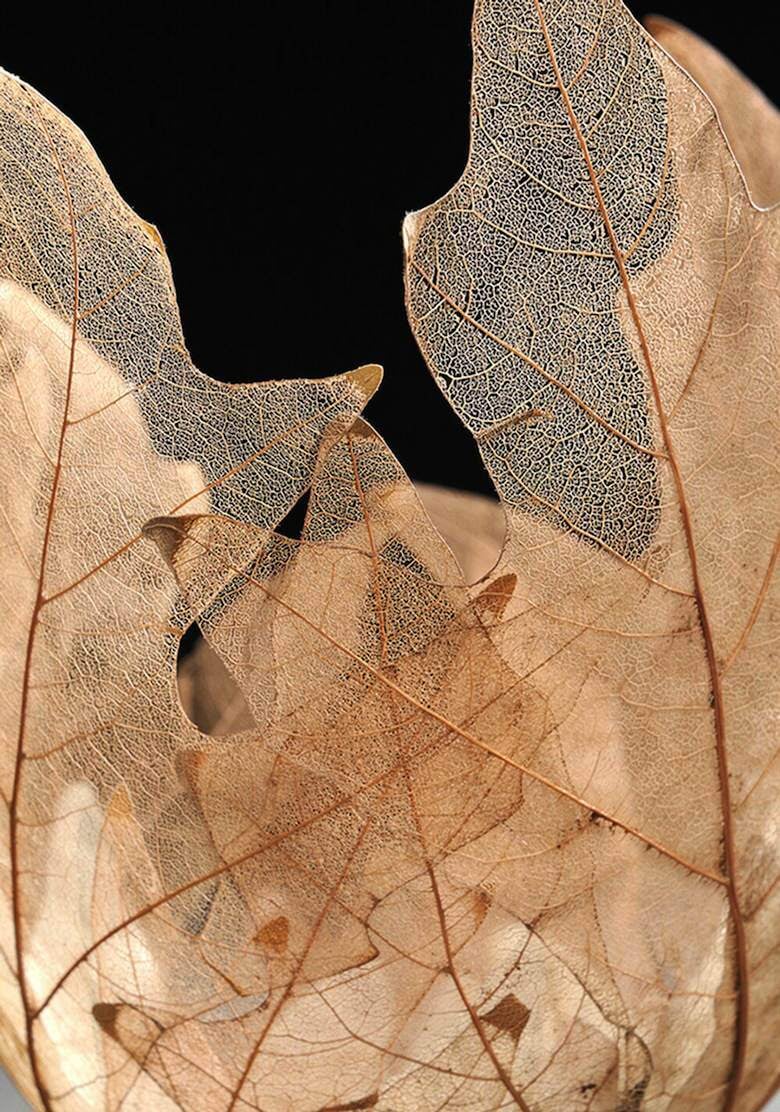 Les sculptures délicates en feuilles mortes de Kay Sekimachi