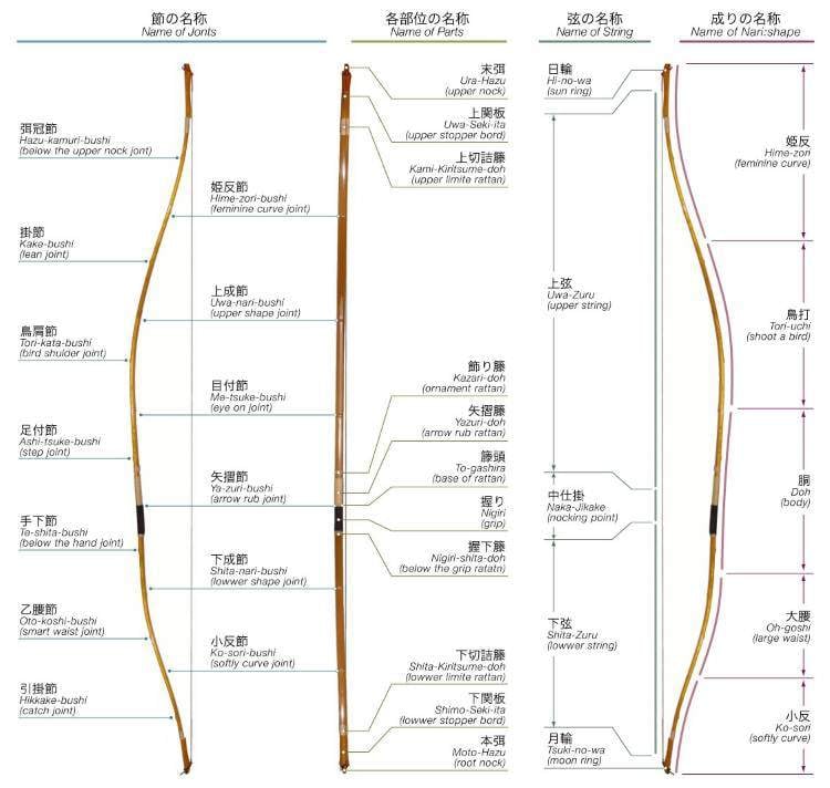 Détails de l'arc utilisé au Kyudo