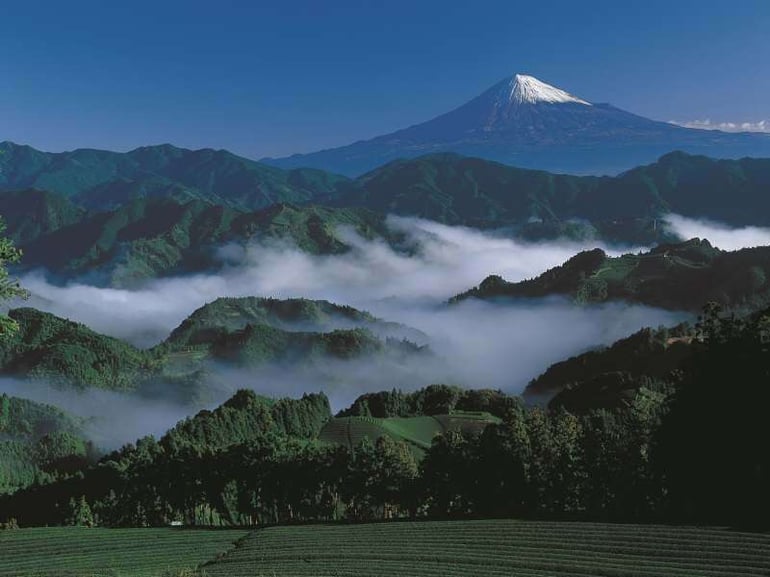 Mont Fuji, vue de Shizuoka