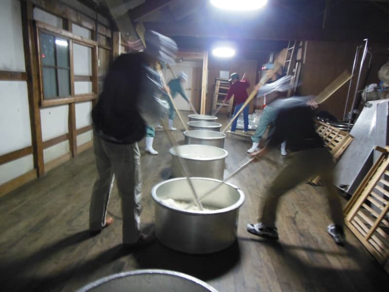 Préparation du shubo («pied de cuve») à la sakagura Chikusen dans la préfecture de Hyogo