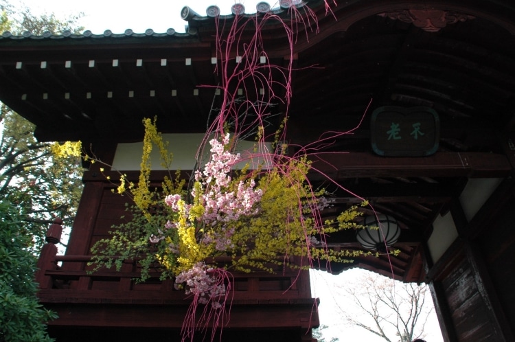 Ikebana accroché à la porte du temple de Gokokuji (Tokyo) lors de la fête des fleurs (Hana matsuri) qui a lieu chaque année le 8 avril pour commémorer la naissance de Bouddha Ikebana accroché à la porte du temple de Gokokuji (Tokyo) lors de la fête des fleurs (Hana matsuri) qui a lieu chaque année le 8 avril pour commémorer la naissance de Bouddha