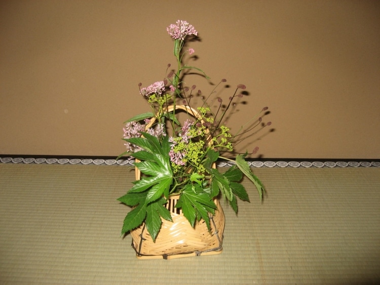 En septembre, au pavillon de thé du jardin de Mejiro (Tokyo) on observera la douce harmonie entre l’Ikebana (confectionné avec des fleurs des champs) ci-dessus et la boite à parfum ci-dessous qui symbolise la fin de l’été, la fin du chant des cigales. En septembre, au pavillon de thé du jardin de Mejiro (Tokyo) on observera la douce harmonie entre l’Ikebana (confectionné avec des fleurs des champs) ci-dessus et la boite à parfum ci-dessous qui symbolise la fin de l’été, la fin du chant des cigales.