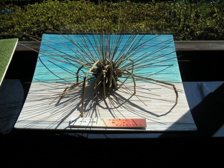 La maquette de l’installation précédente La maquette de l’installation précédente