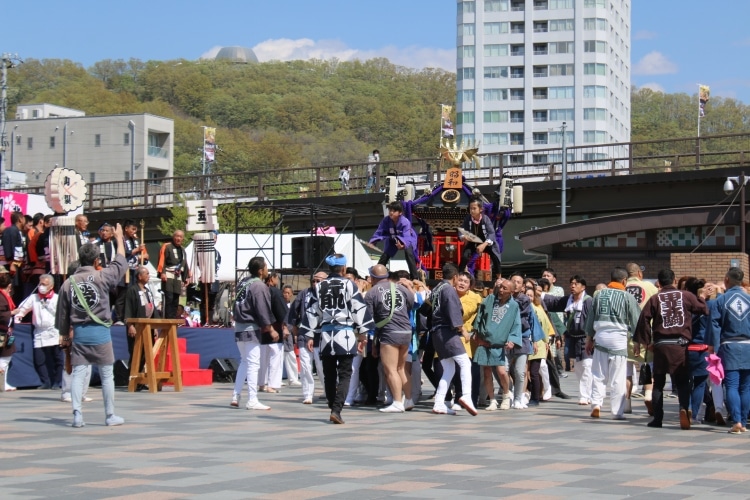 Les enfants juchés sur les Mikoshi sont très à l’aise et battent la cadence