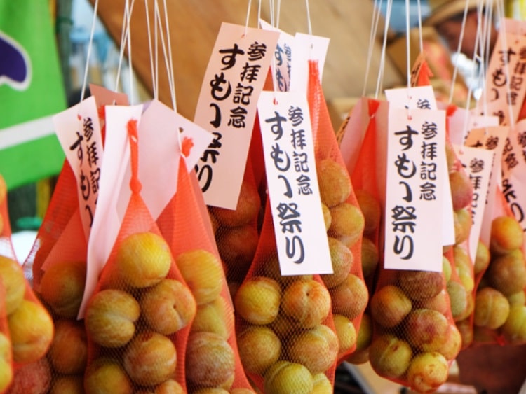 Matsuri du sanctuaire okunitama de fuchu