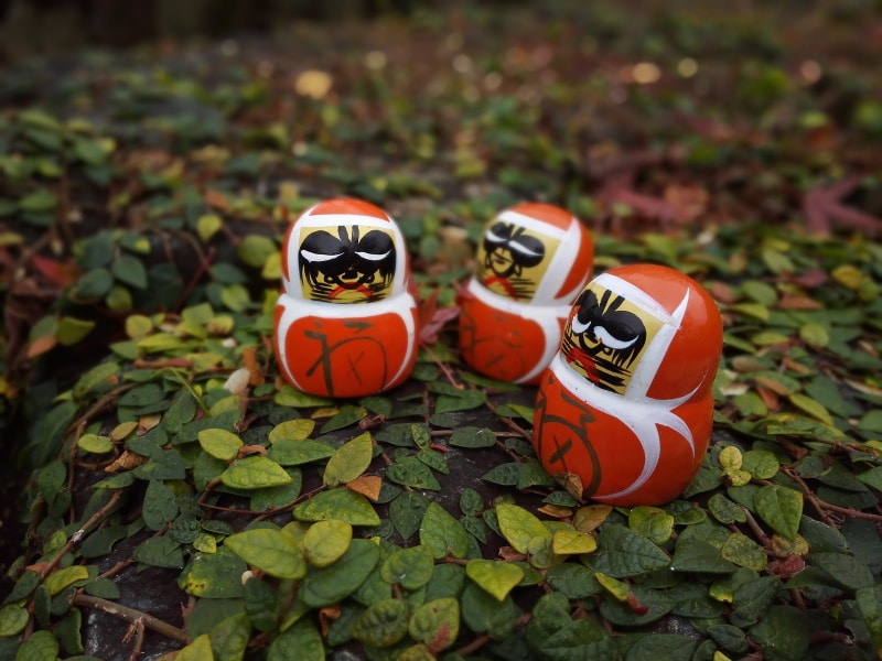 Daruma Daruma