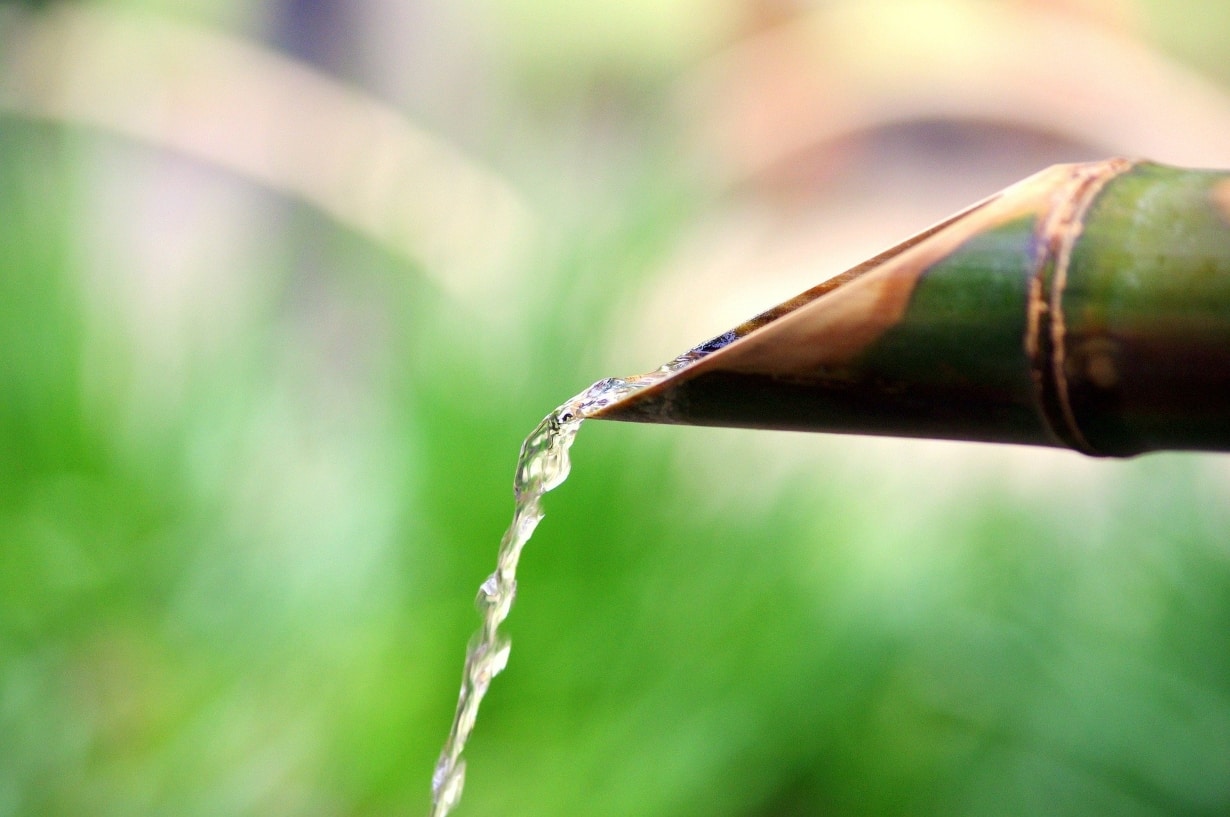 Les eaux japonaises sont d'une extrême douceur, avec relativement peu de minéraux comparées à nos eaux françaises