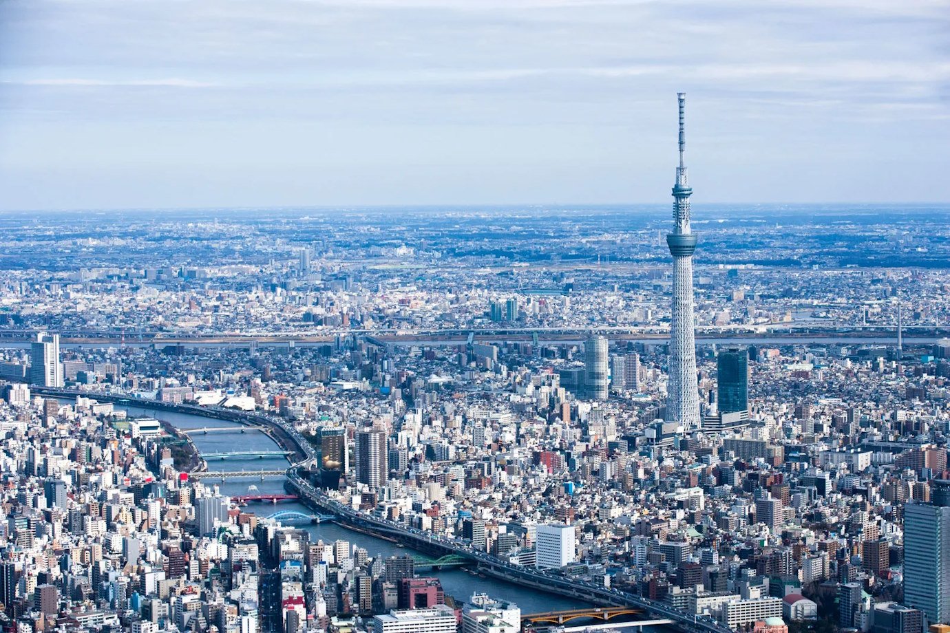 Vue de Tokyo et de la Tokyo Skytree