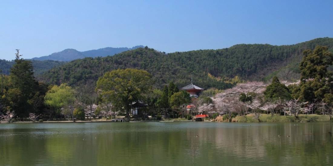 Vue panoramique du temple Daikaku-ji à Kyoto avec l'étang Osawa, des cerisiers en fleurs (sakura) et la pagode Shingyo-to devant des collines boisées sous un ciel bleu clair.