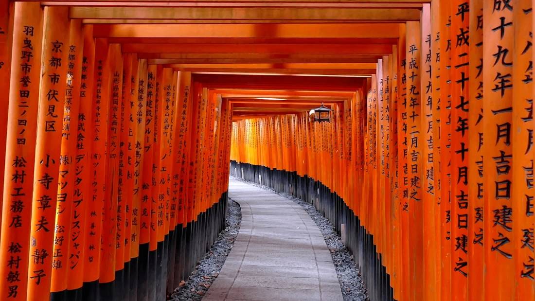 Tunnel de milliers de portails torii orange vermillon alignés le long d'un sentier de pierre au sanctuaire Fushimi Inari-taisha à Kyoto, Japon.