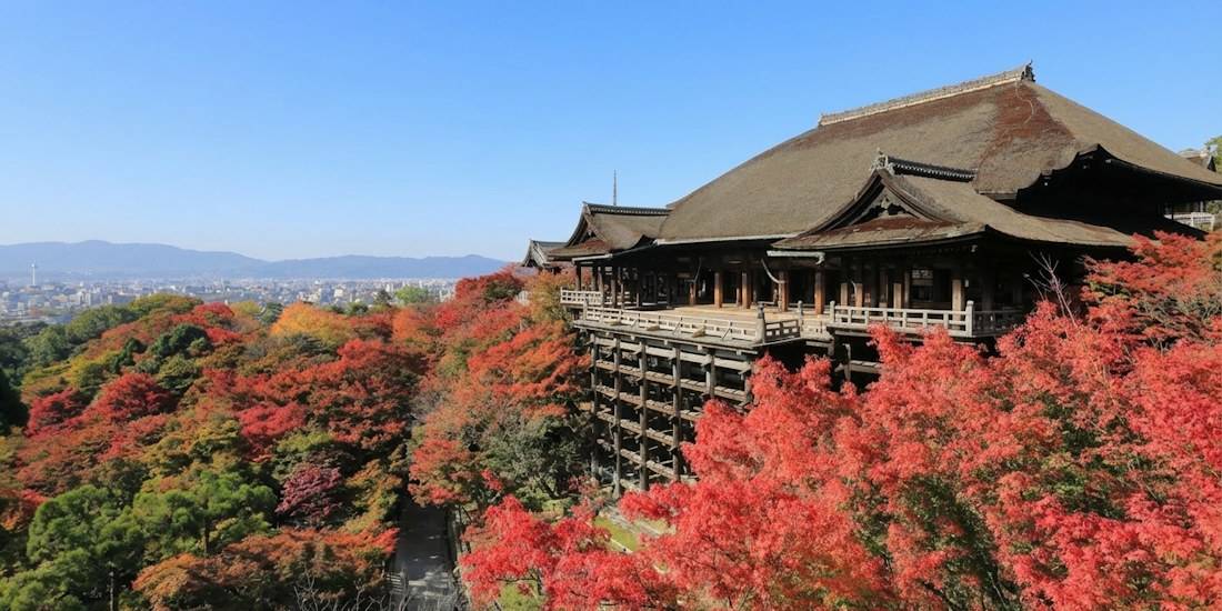 Vue panoramique du temple bouddhiste Kiyomizu-dera à Kyoto, Japon, entouré d'érables aux feuilles rouges flamboyantes durant l'automne avec la ville en arrière-plan sous un ciel bleu clair.