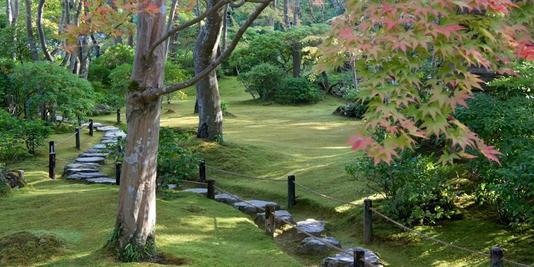 Jardin japonais traditionnel de la villa Okochi Sanso à Kyoto avec un sentier en pierres plates, de la mousse verdoyante et des érables aux feuilles rouges en automne.