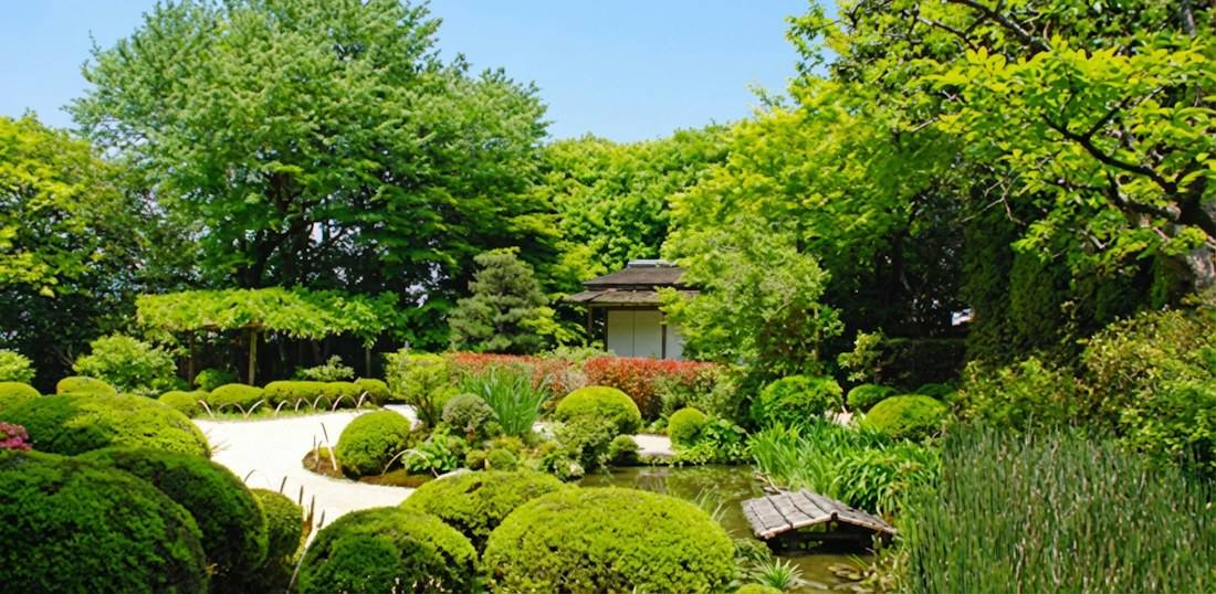 Jardin zen traditionnel du temple Shisen-do à Kyoto avec buissons d'azalées taillés en arrondis, étang paisible et pavillon en bois sous un feuillage verdoyant en été.