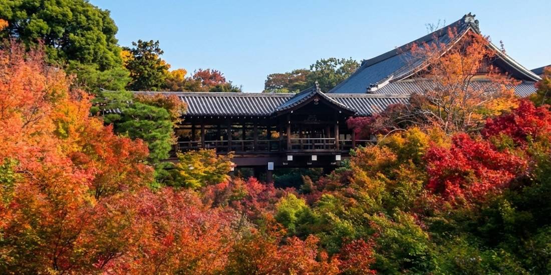 Pont couvert Tsuten-kyo du temple Tofuku-ji à Kyoto entouré d'érables aux couleurs d'automne rouge et orange sous un ciel bleu.