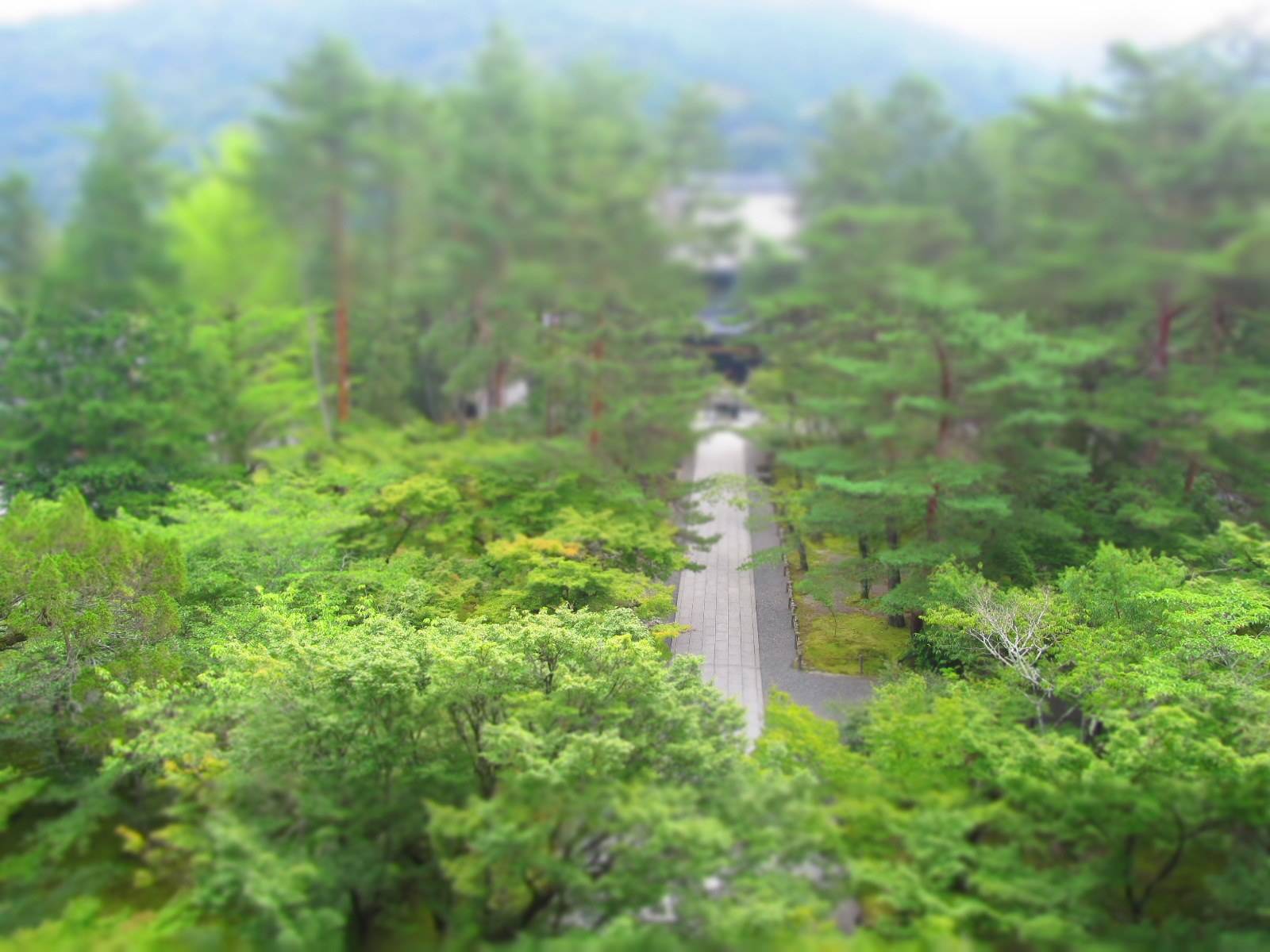 Vue en plongée depuis le balcon de la porte Sanmon du temple Nanzen-ji à Kyoto, montrant une allée pavée entourée d'une forêt de pins verdoyants avec un effet de flou artistique (tilt-shift).