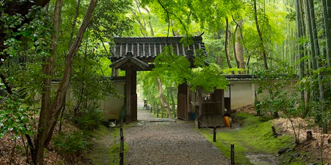 Allée de bambous paisible menant au temple Jizo-in à Kyoto, entourée de verdure japonaise