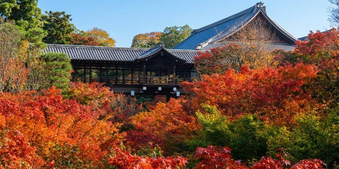 Pont Tsuten-kyo au temple Tofuku-ji à Kyoto entouré de feuilles d'érable momiji rouges et orange éclatantes pendant l'automne au Japon.