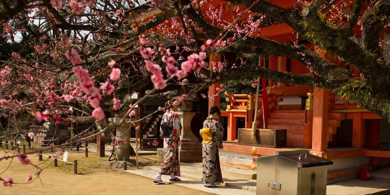 Deux femmes en kimono traditionnel marchant sous des pruniers en fleurs devant un pavillon orange au sanctuaire Kitano Tenmangu à Kyoto, Japon.