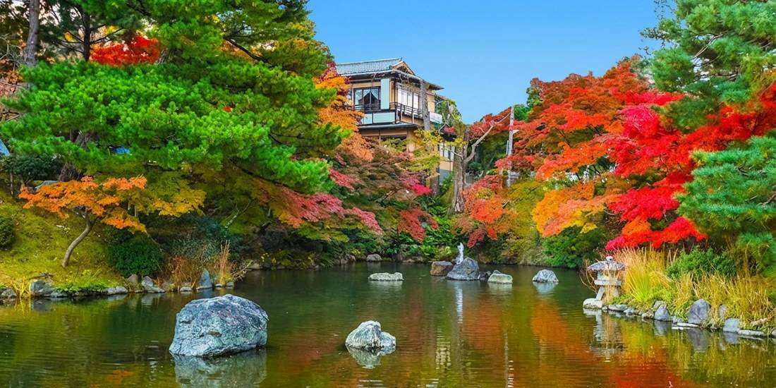 Vue panoramique du bassin Hyotan-ike au parc Maruyama à Kyoto pendant l'automne, montrant des érables aux feuilles rouges et orangées se reflétant dans l'eau avec un bâtiment traditionnel japonais en arrière-plan.