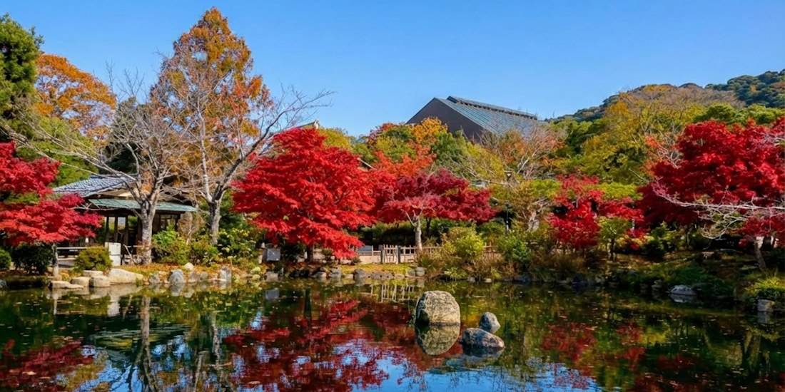 Érables momiji aux feuilles rouges éclatantes se reflétant dans l'étang du parc Maruyama à Kyoto pendant l'automne au Japon.