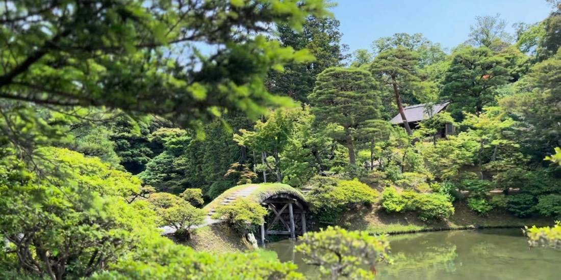 Pont en bois recouvert de mousse verdoyante traversant un étang dans le jardin traditionnel japonais de la Villa impériale de Katsura à Kyoto, entouré d'une végétation luxuriante et d'arbres sculptés sous un ciel bleu