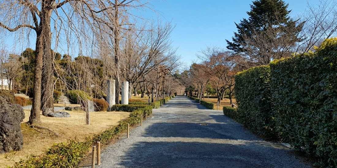 Allée paisible en gravier bordée d'arbres et de haies taillées dans le jardin Seiryu-en du château de Nijo-jo à Kyoto, Japon, sous un ciel bleu clair.