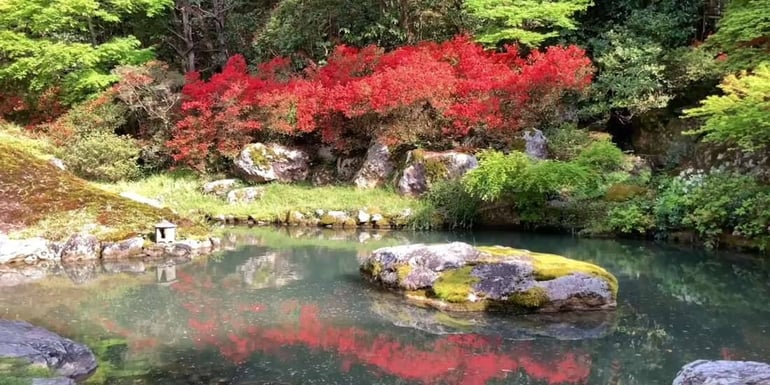 Jardin zen du temple Shisen-do à Kyoto avec un étang paisible, des rochers moussus et des azalées rouges éclatantes se reflétant dans l'eau.
