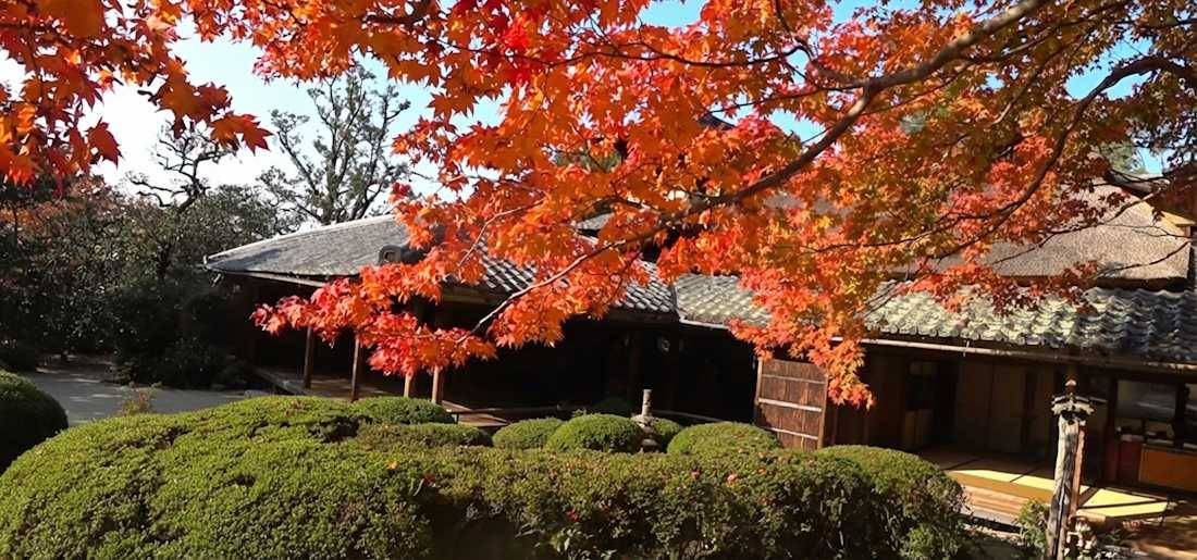 Temple Shisen-do à Kyoto avec érables japonais aux couleurs d'automne rouge et orange surplombant un jardin zen traditionnel.