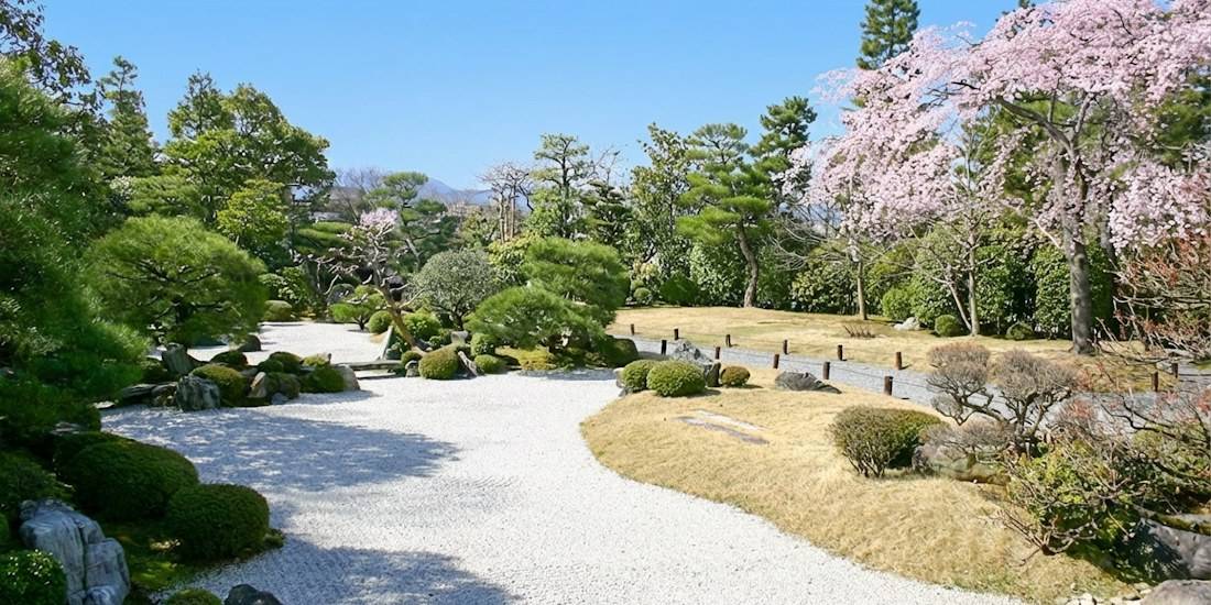 Jardin sec japonais Yuzen-en au temple Chion-in à Kyoto avec cerisiers en fleurs, sable blanc ratissé et pins taillés sous un ciel bleu.