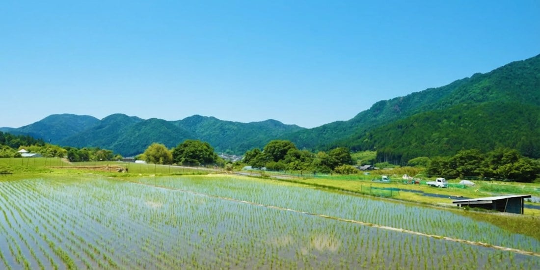 Rizières inondées et montagnes verdoyantes dans la campagne d'Ohara près de Kyoto au Japon sous un ciel bleu.