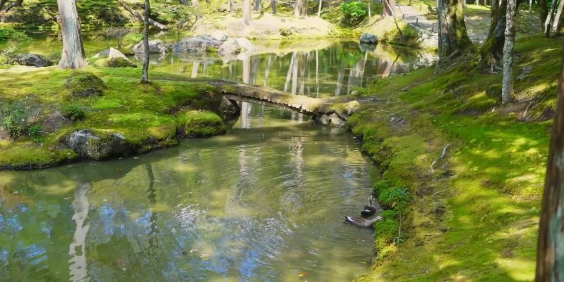 Étang doré du temple Kokedera (Saihō-ji) à Kyoto entouré de mousse, avec un petit pont et des arbres