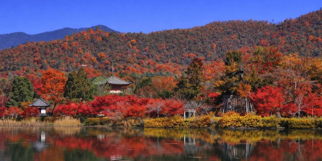 tang Osawa au temple Daikaku-ji à Kyoto avec pagode et érables rouges en automne