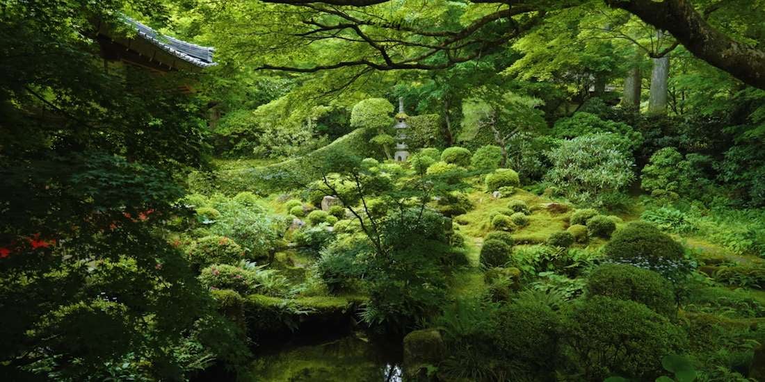 Jardin de mousse verdoyant du temple Sanzen-in à Ohara, Kyoto, avec lanternes en pierre traditionnelles et érables japonais sous une lumière tamisée.