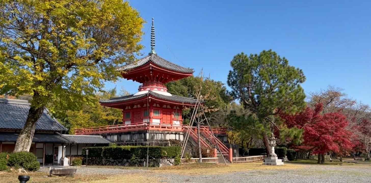 Pagode Shinkyo-Hoto du temple Daikoku-ji à Kyoto entourée d’arbres en automne