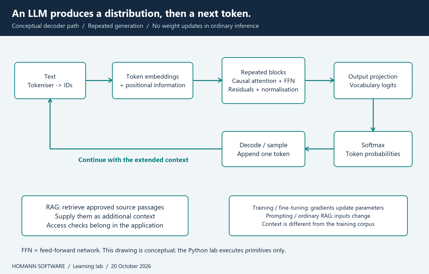 A decoder-style language-model path from tokens and positional information through causal attention blocks to logits, probabilities and the next token.
