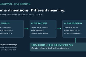 An embedding producer passes tenant, space and dimension checks before a versioned index; its query encoder uses the same contract.