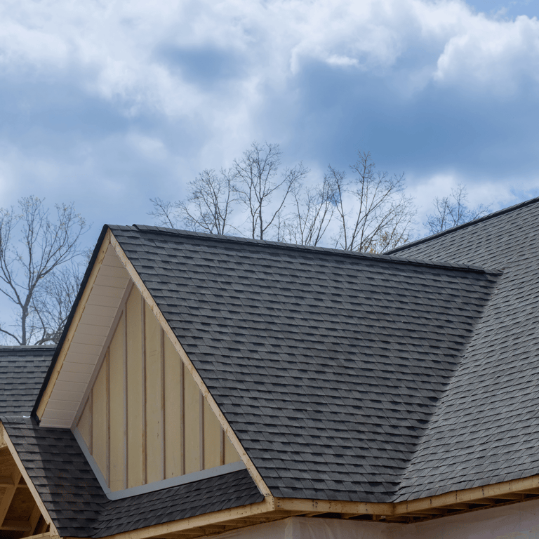 Roof and dormer detail