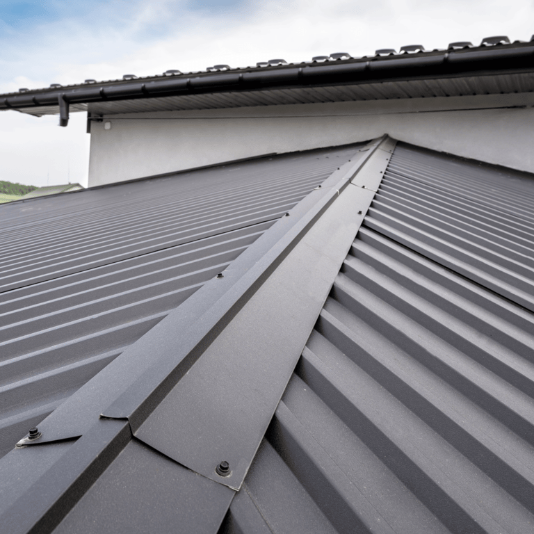 Standing-seam metal detail